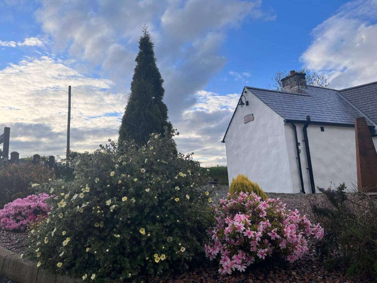 Dans Wee Cottage Slieve Croob Dromara Castlewellan Newcastle 外观 照片