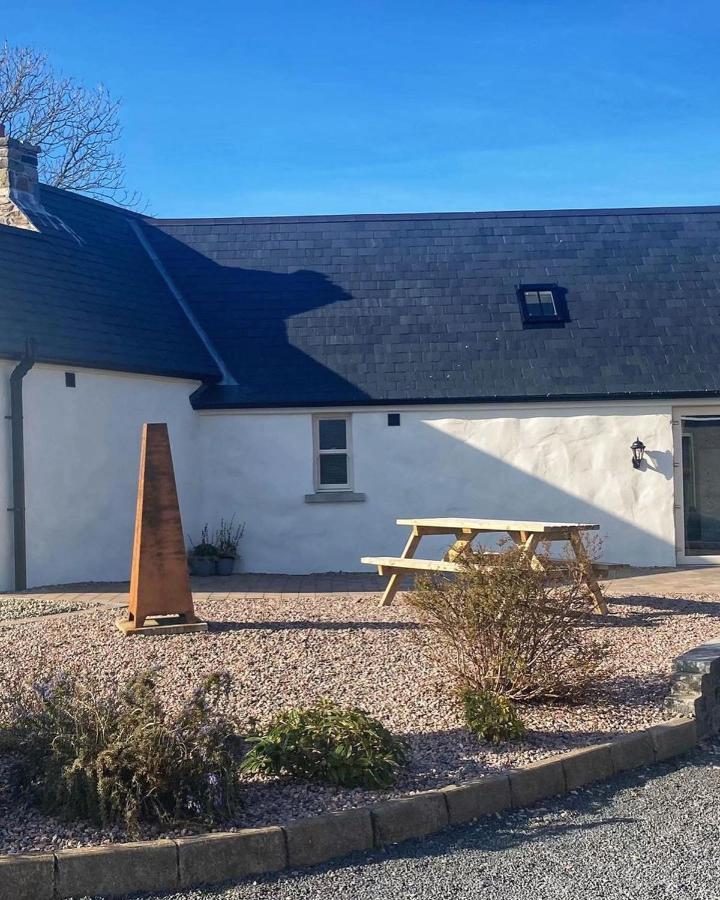 Dans Wee Cottage Slieve Croob Dromara Castlewellan Newcastle 外观 照片