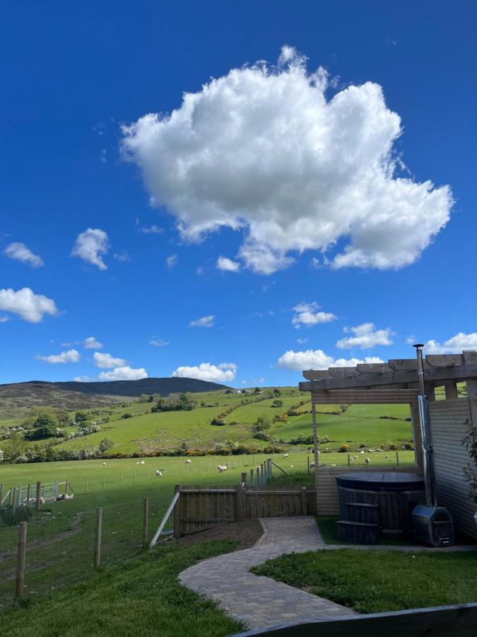 Dans Wee Cottage Slieve Croob Dromara Castlewellan Newcastle 外观 照片
