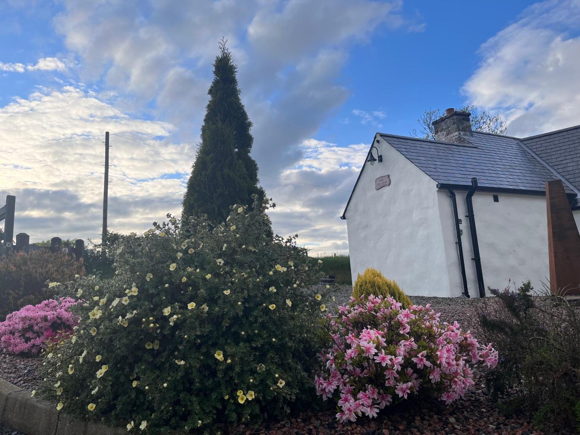 Dans Wee Cottage Slieve Croob Dromara Castlewellan Newcastle 外观 照片